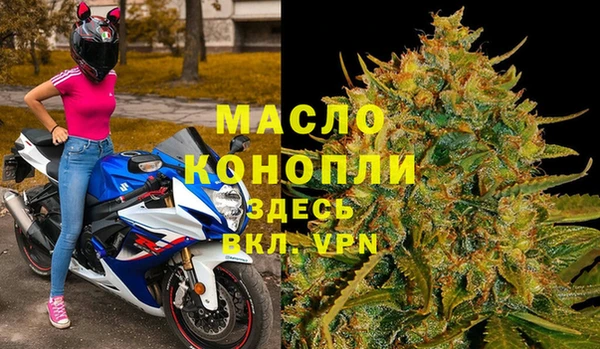 винт Лагань