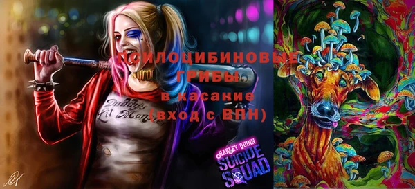 прущий лед Ладушкин