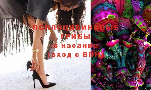 винт Лагань