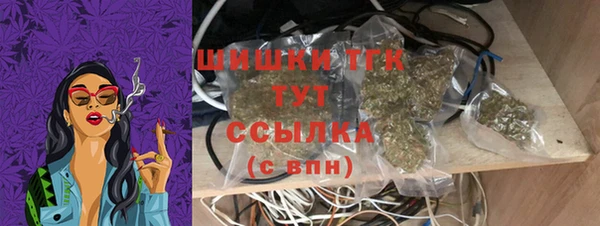 винт Лагань