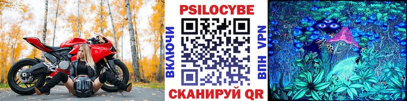 Галлюциногенные грибы Magic Shrooms  Купить где  Волгореченск 